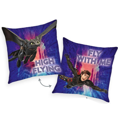 Obojstranný vankúšik Dragons 02 - 40x40 cm s výplňou - jak vycvičit draka